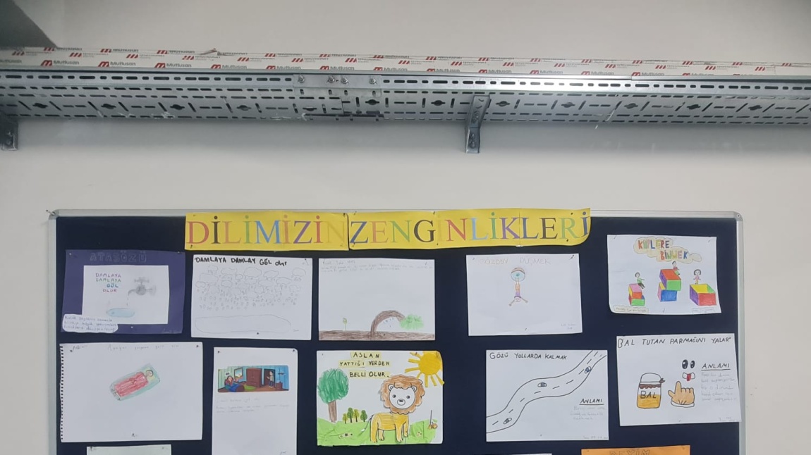 Dilimizin Zenginlikleri Şubat